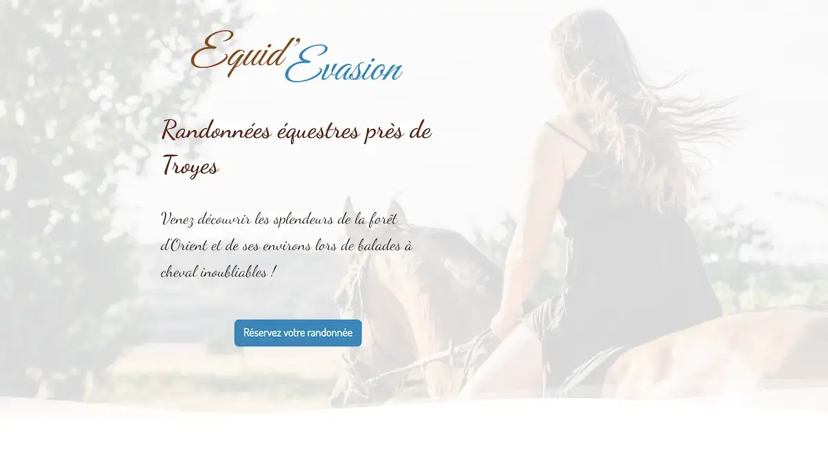 hero banner d'un projet de site internet pour des balades canines réalisé par L'atelier Web 301